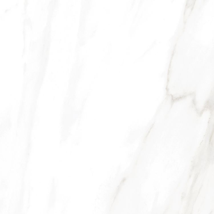 EC Calacatta Gold Matte 24 x 24